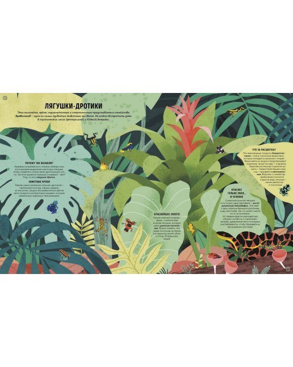 Ядовитые животные. Кто, зачем и как использует яды в дикой природе