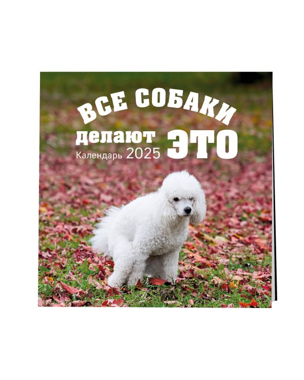 Все собаки делают это. Календарь настенный на 2025 год (300х300)