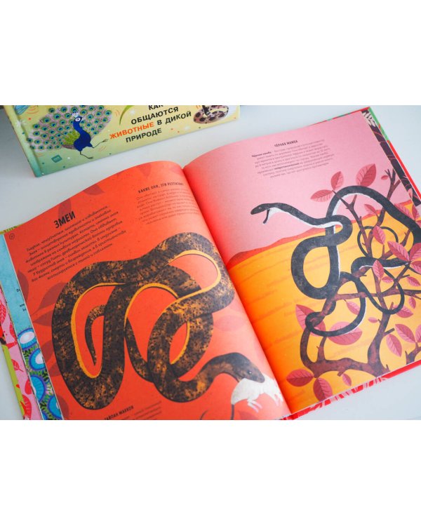 Ядовитые животные. Кто, зачем и как использует яды в дикой природе