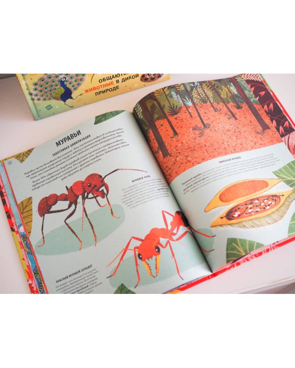 Ядовитые животные. Кто, зачем и как использует яды в дикой природе