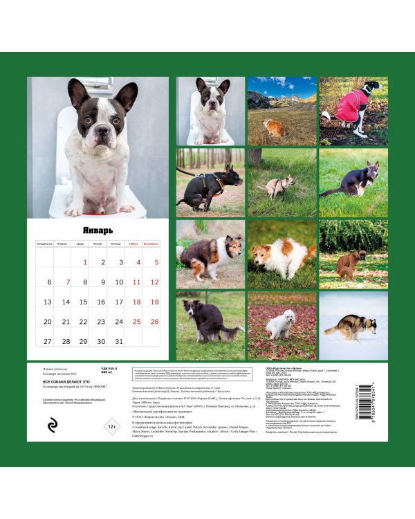 Все собаки делают это. Календарь настенный на 2025 год (300х300)