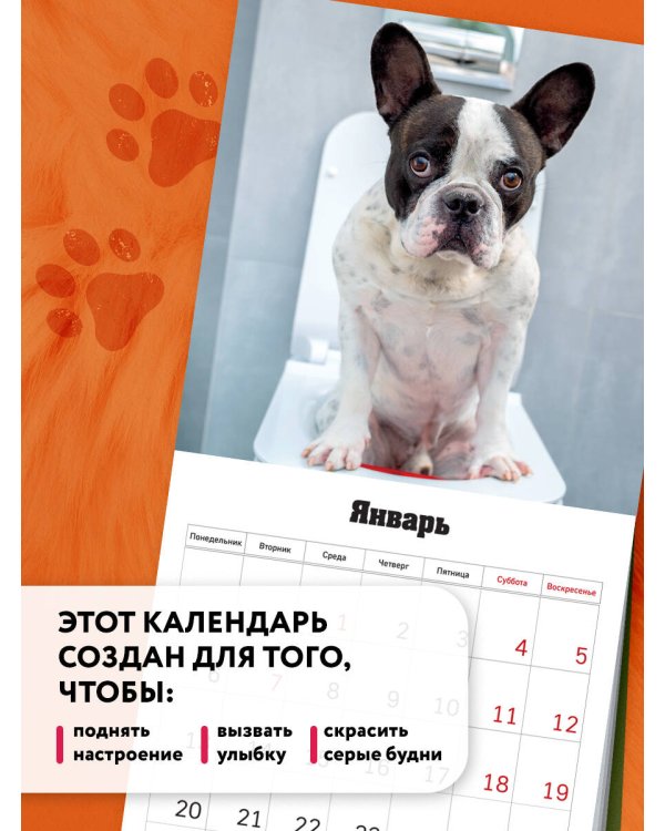 Все собаки делают это. Календарь настенный на 2025 год (300х300)