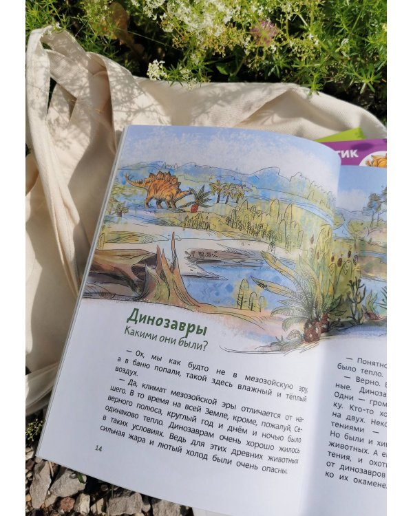 Набор из 3 книг: Планета Земля, Камни, минералы и металлы, Динозавры и другие пресмыкающиеся (Paperback)