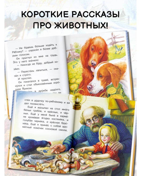 Рассказы о животных