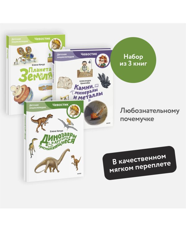 Набор из 3 книг: Планета Земля, Камни, минералы и металлы, Динозавры и другие пресмыкающиеся (Paperback)