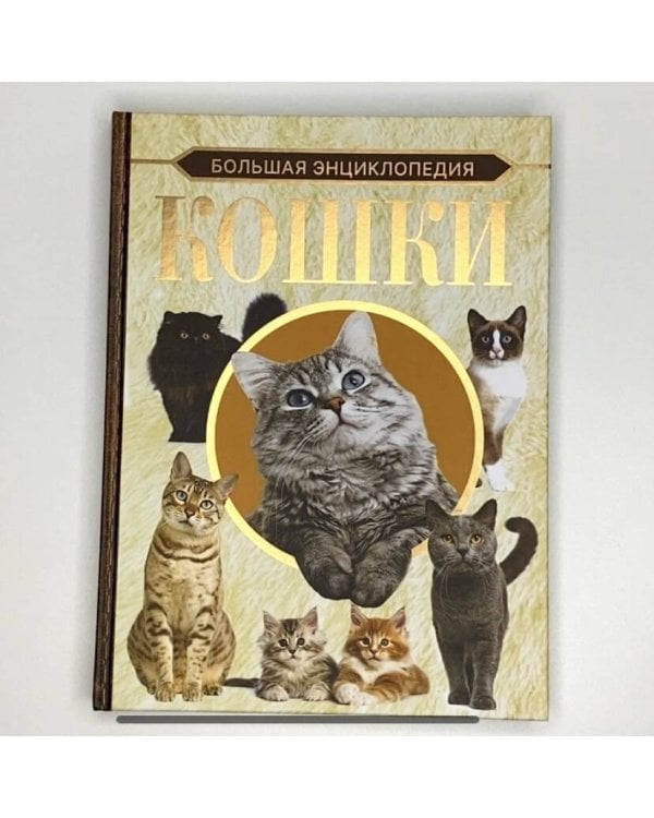 Большая энциклопедия. Кошки