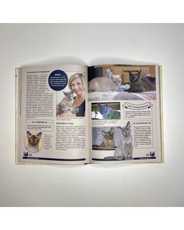 Большая энциклопедия. Кошки