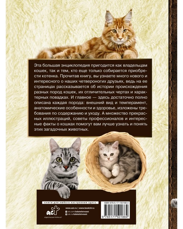 Большая энциклопедия. Кошки