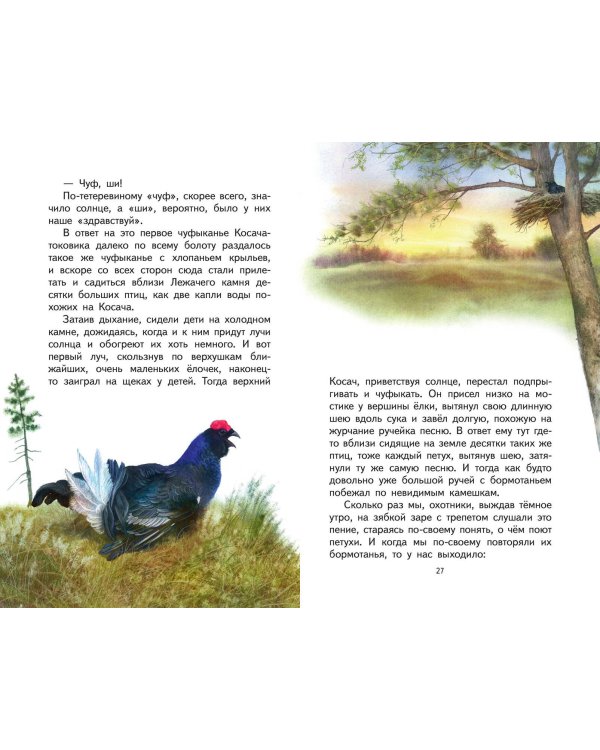 Кладовая солнца (ил. В. Дударенко)