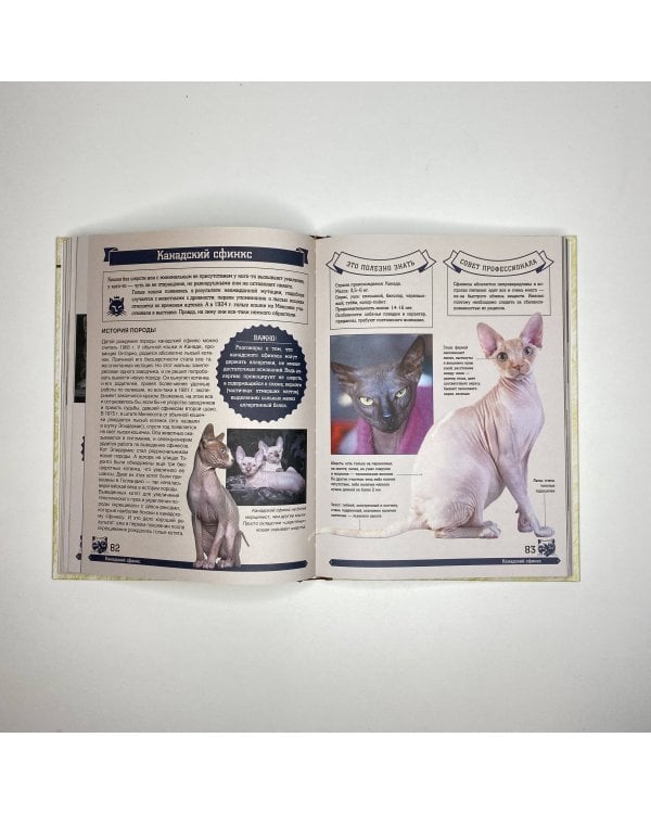 Большая энциклопедия. Кошки