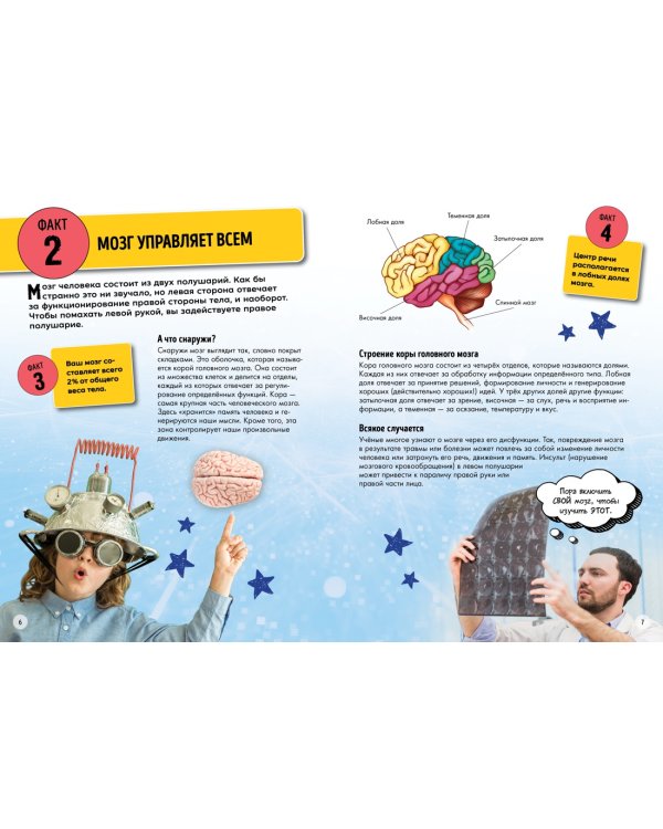 Всё о теле человека