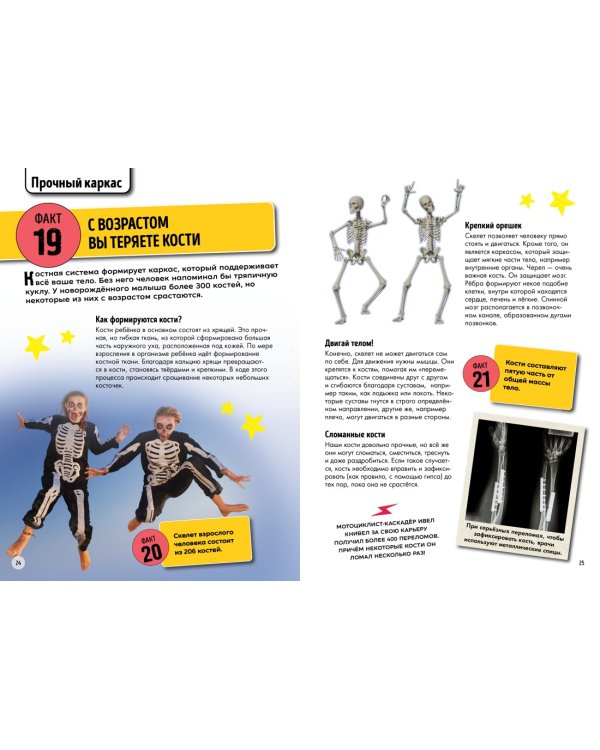 Всё о теле человека