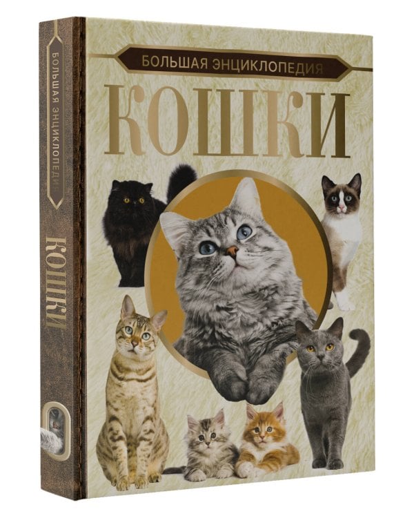 Большая энциклопедия. Кошки