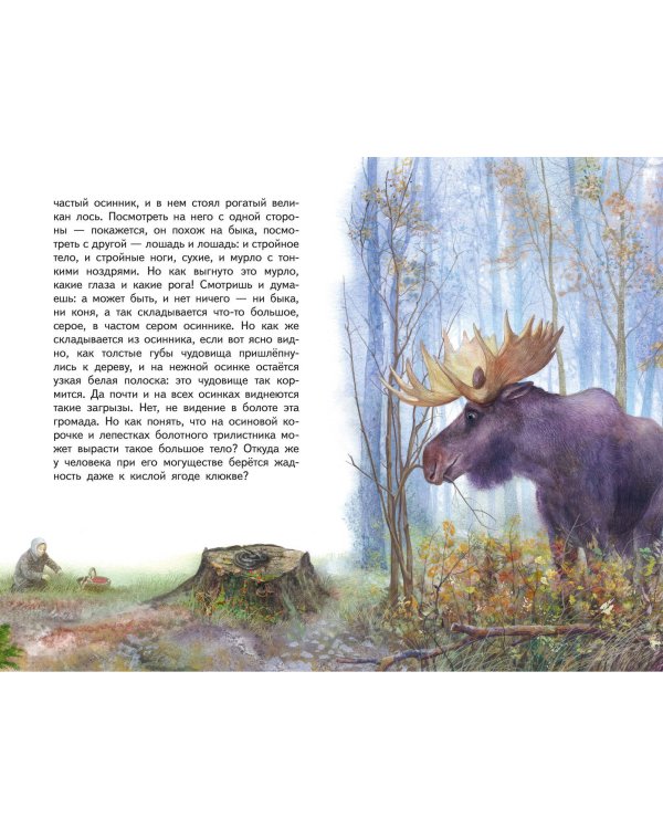 Кладовая солнца (ил. В. Дударенко)