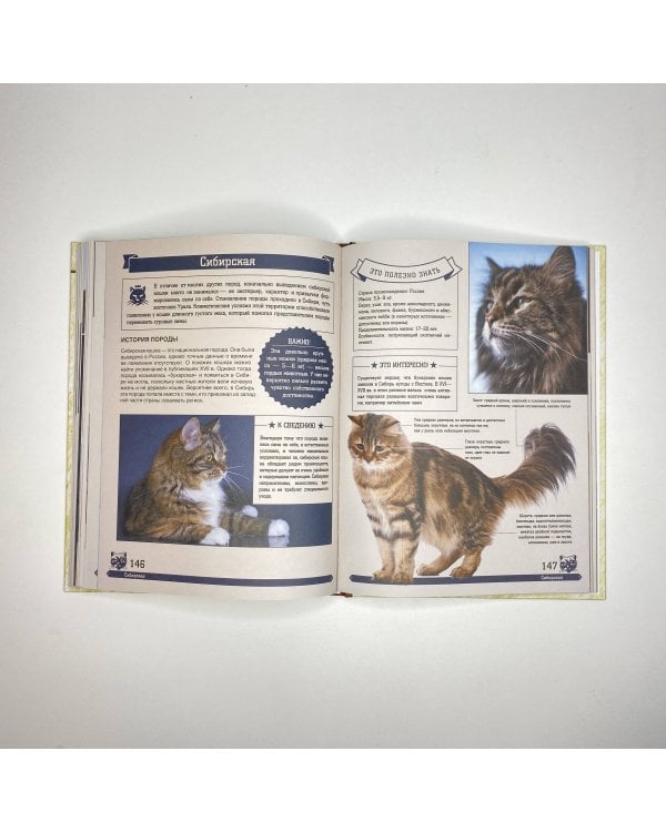 Большая энциклопедия. Кошки