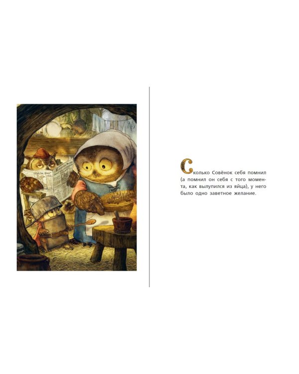 Самый храбрый совенок