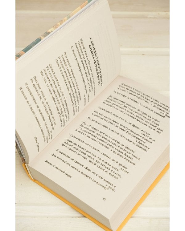 Витязь в тигровой шкуре