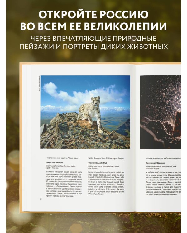 Россия самая красивая страна. Фотоконкурс 2025