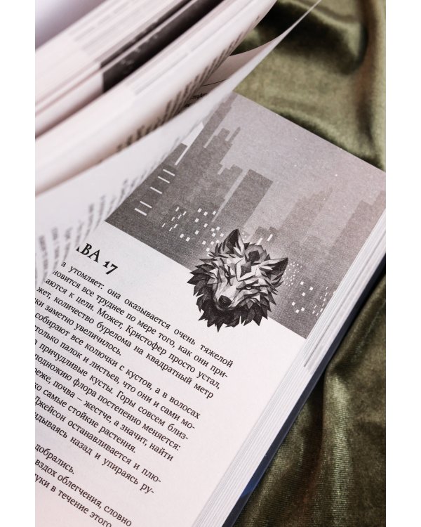 Потерянные крылья