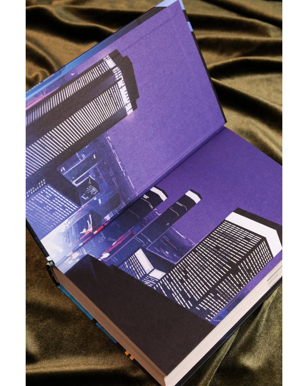 Потерянные крылья