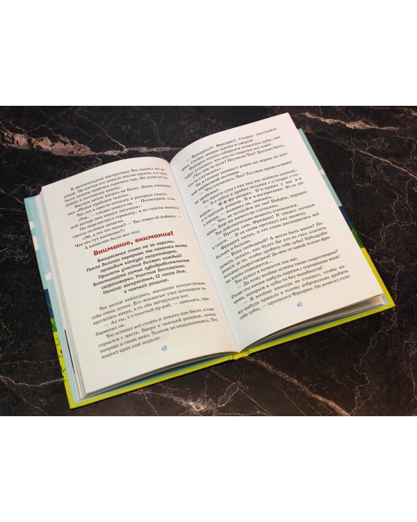 Тео и Фридрих. Ни дня без приключений! (ил. Й. Кавамура)