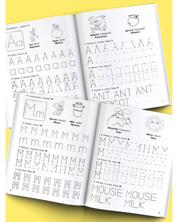 Английский язык