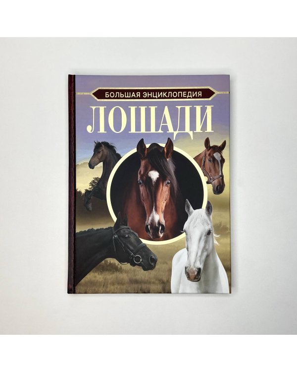 Большая энциклопедия. Лошади