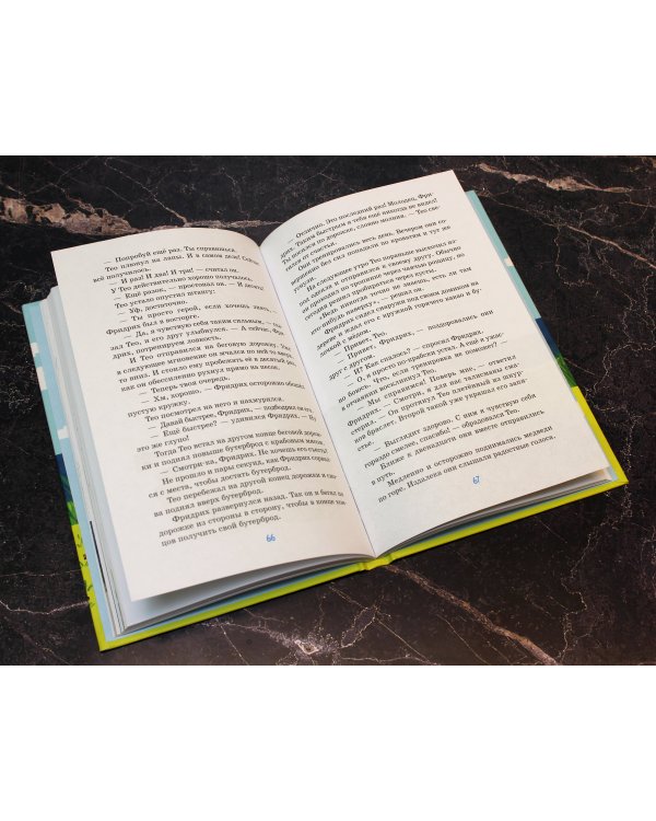 Тео и Фридрих. Ни дня без приключений! (ил. Й. Кавамура)