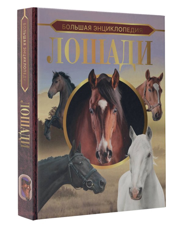 Большая энциклопедия. Лошади
