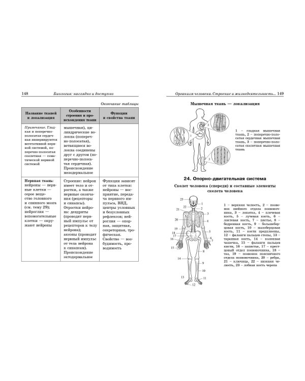 Биология: наглядно и доступно