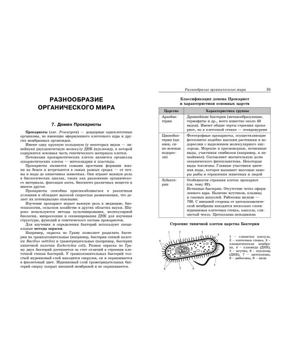 Биология: наглядно и доступно