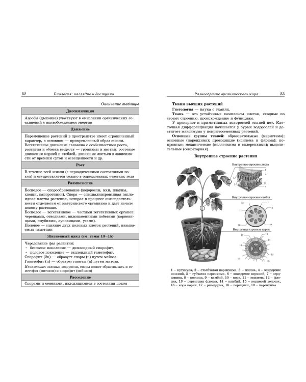 Биология: наглядно и доступно