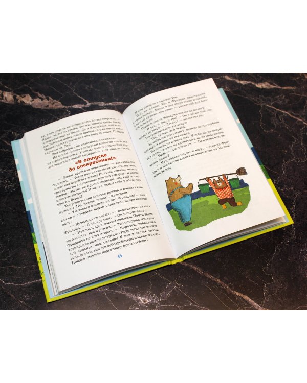 Тео и Фридрих. Ни дня без приключений! (ил. Й. Кавамура)