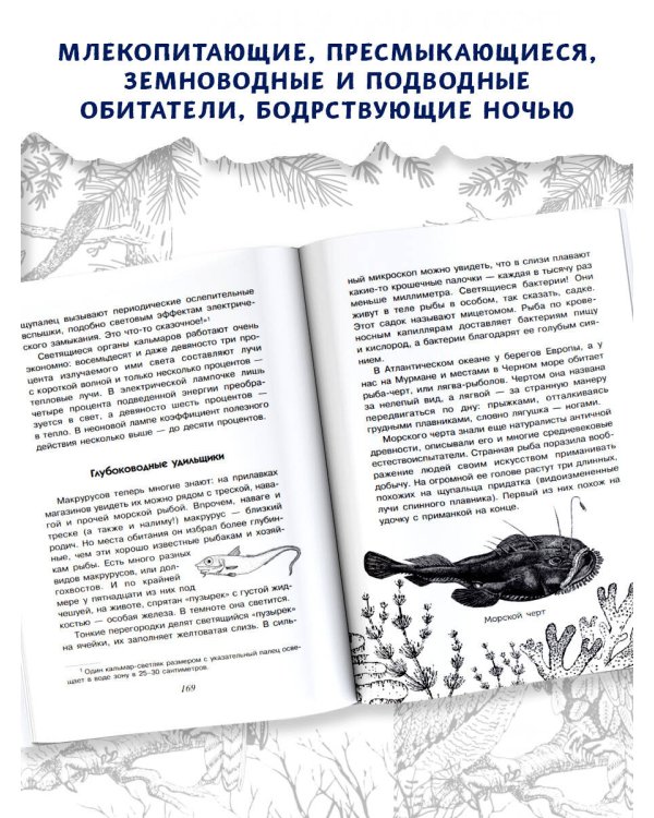 С вечера до утра