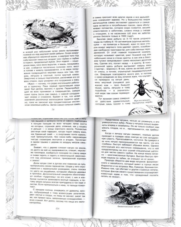 С вечера до утра