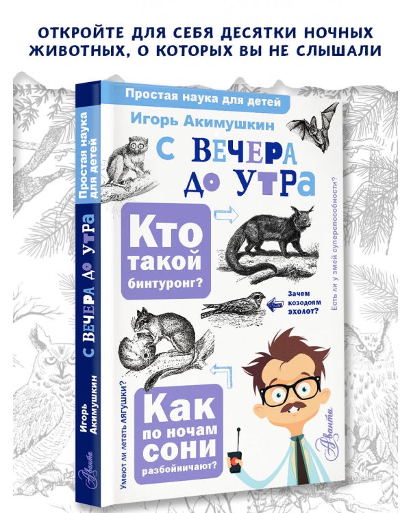 С вечера до утра