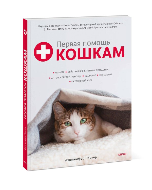 Первая помощь кошкам. Осмотр, действия в экстренных ситуациях, аптечка первой помощи, здоровье, корм
