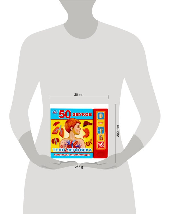Тело человека (5 кн. 50 звуков) 200х175мм 10стр Умка в кор.32шт