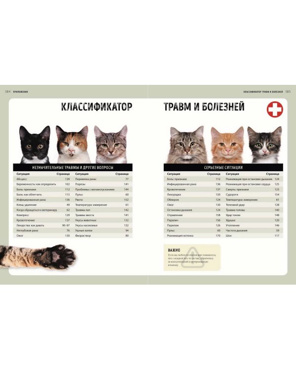 Первая помощь кошкам. Осмотр, действия в экстренных ситуациях, аптечка первой помощи, здоровье, корм