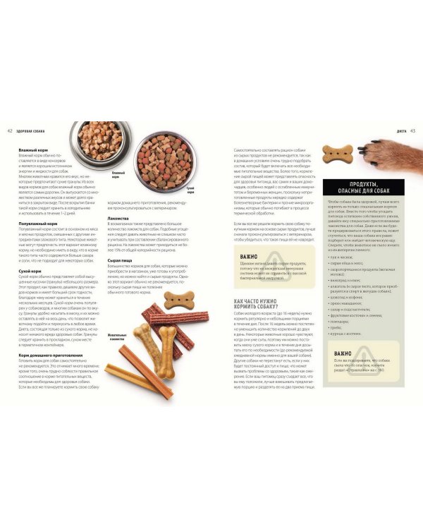Первая помощь собакам. Осмотр, действия в экстренных ситуациях, аптечка первой помощи, социализация,