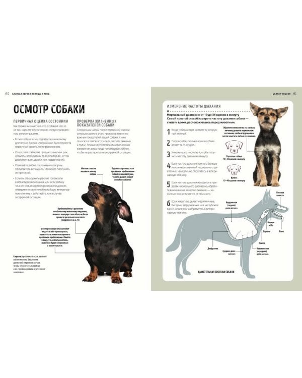 Первая помощь собакам. Осмотр, действия в экстренных ситуациях, аптечка первой помощи, социализация,