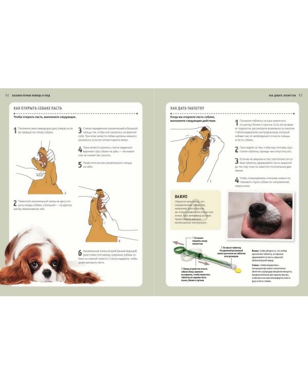Первая помощь собакам. Осмотр, действия в экстренных ситуациях, аптечка первой помощи, социализация,