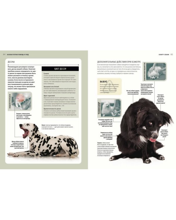 Первая помощь собакам. Осмотр, действия в экстренных ситуациях, аптечка первой помощи, социализация,
