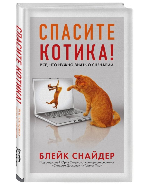 Спасите котика! Все, что нужно знать о сценарии (мягкая обложка)