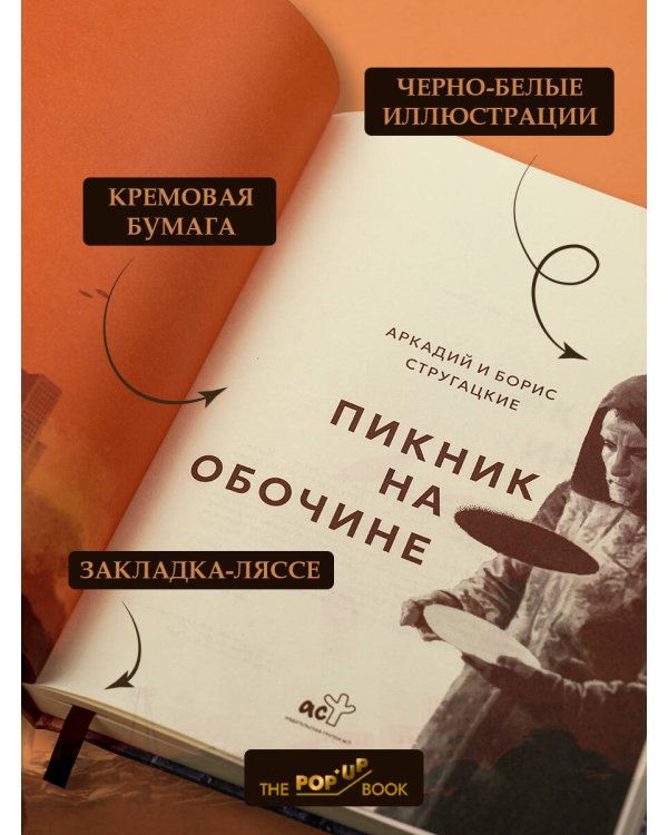 Пикник на обочине