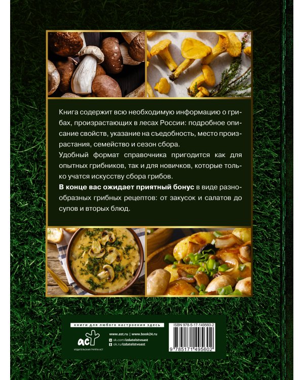 Большая энциклопедия. Грибы. Съедобные и несъедобные. Собираем и готовим.