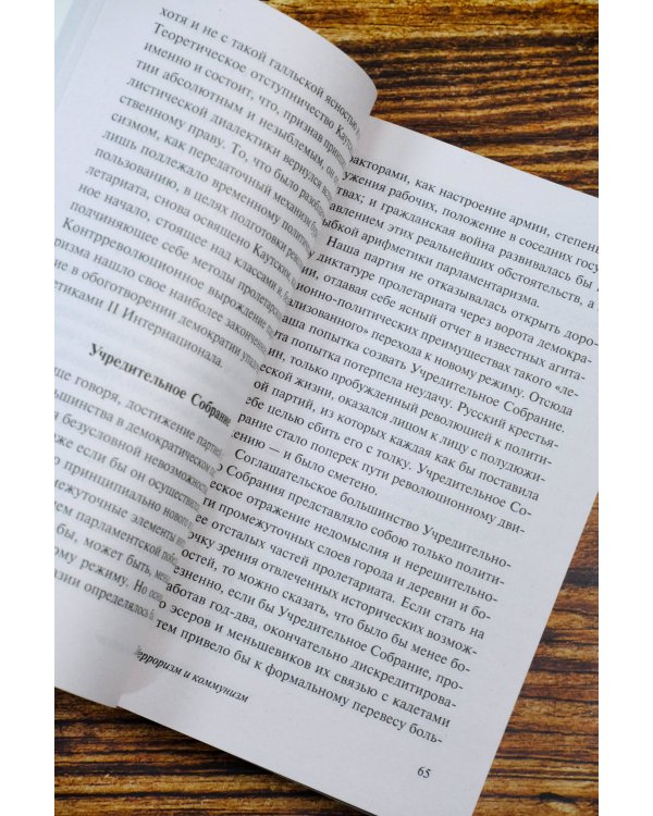 Терроризм и коммунизм. Перманентная революция