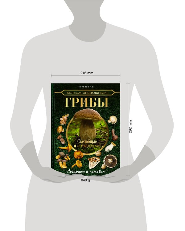 Большая энциклопедия. Грибы. Съедобные и несъедобные. Собираем и готовим.