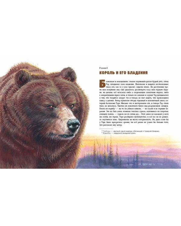 Гризли (ил. В. Канивца)