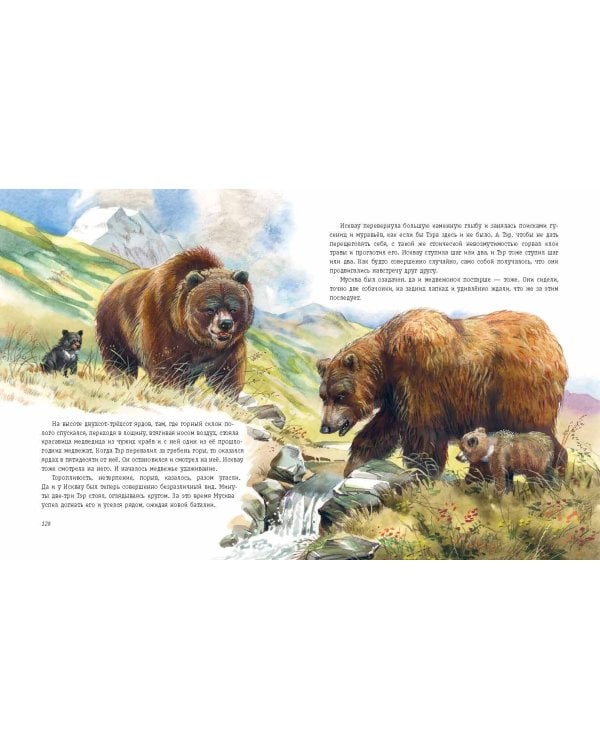 Гризли (ил. В. Канивца)